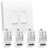 Kinetic grid-compatible Smart Switch (2-channel, 2-gang) and Smart Switch Modules