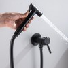 SHAMANDA Wall Mounted Bidet Sprayer Set, Stainless Steel Round Handheld