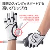 Daiya Golf GL-5001 GL-5001 Diamond Free Size Gloves, Men's/Women, Stretch