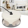 Flea Trap Good Stickiness Safe Ingredients Odorless Indoor Pest Control