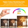dalattin G9 LED Light Bulbs, 3000K Warm White G9 Base