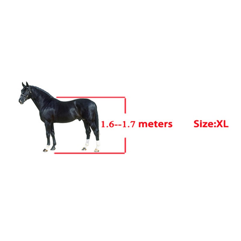 Horse Tendon Boots Horse Riding Fetlock Protectors PU Shell Horse