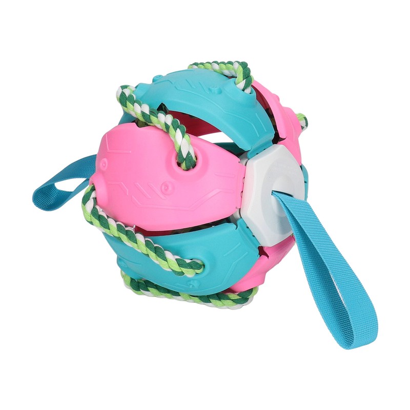 Interactive Outdoor Fly Ball Flying Saucer Ball Interesting Dog Soccer