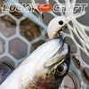 Lucky Craft 0842 Unfair 45F FISHER LURE (0842 Sesame Sherbet