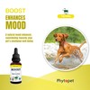 Phytopet Boost | 30ml | 100% Natural Herbal Remedy |