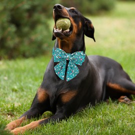 Maca Bates St Patricks Day Dog Collar with Bow Bowtie Irish Clover Dogs Rainbow Cute Clovers Sailor Bow Tie Soft Adjustable Saint Patrick's Shamrock Spring Gift for Small Medium Large Girl Boy Puppy