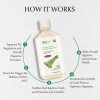 AloeCure USDA Organic Aloe Vera Juice Grape Flavor Made Within