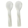 Set of Caviar Spoons 2Pcs Shell Spoon Mother of Pearl