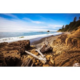 Pacific Northwest Photography Print (Not Framed) Picture of Driftwood Logs on Beach in Olympic National Park Washington Coastal Wall Art Nature Decor (11" x 14")