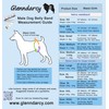Glenndarcy Male Dog Belly Band - Urine Incontinence (Medium Long