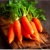 Baby Carrot Seeds - Little Finger Carrots - A Delicacy