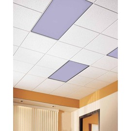 Fluorescent Light Covers for Ceiling Lights Lavender Purple Magnetic Light Filters 4 Pack 4x2 ft Solid Color Ceiling Light Cover for Classroom Office School Home Drop Lamp Decor
