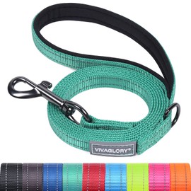 VIVAGLORY Dog Lead with Comfortable Neoprene Padded Handle, Heavy Duty Training Lead for Small & Medium Dogs