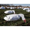 Sillosocks Snow Goose Feeder Decoy , White by Sillosocks