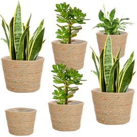 6 Pcs Seagrass Planter Basket Flower Pots Cover Plant Baskets Hand Woven Plant Basket Storage Plant Containers with Plastic Liners for Indoor Outdoor Flower Pots Decoration 10, 7, 8.3 Inch (Classic)