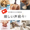 REPLUS Pet Toy, Neem Bone, SS Size, Chew Toy, Stiff,