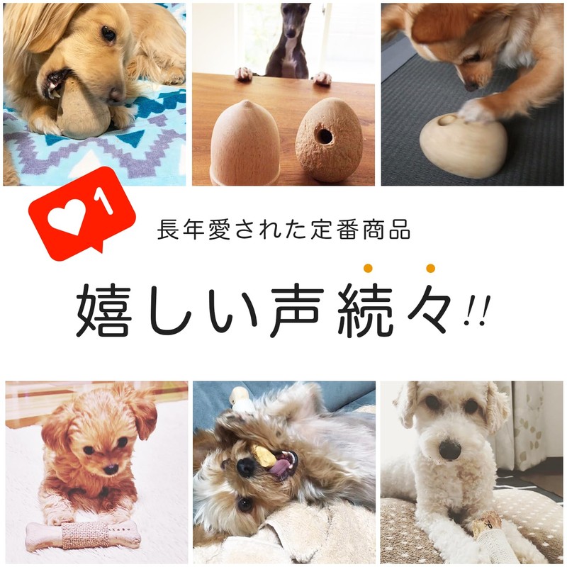 REPLUS Pet Toy, Neem Bone, SS Size, Chew Toy, Stiff,