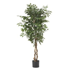 Christopher Knight Home Harney Artificial Ficus Tree, 5' x 2.5', Green, Black