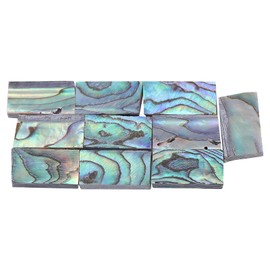 10Pcs Abalone Shell Guitar Abalone Shell Pieces Abalone Shell Sheet Inlay Fingerboard Guitars Inlay Material Guitar Fretboard Inlays