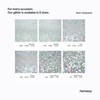 Hemway Resin Glitter Silver Holographic 500g Fine