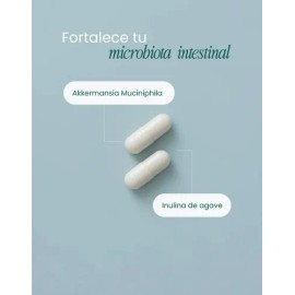 Probióticos Akkermansia 400 Mg Salud Intestinal Y Metabólica Sabor Na