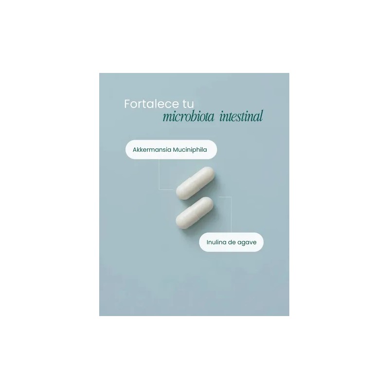 Probióticos Akkermansia 400 Mg Salud Intestinal Y Metabólica Sabor Na
