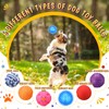 Soulchen 6 Pack 3.5'' Interactive Large Dog Squeaky Toy Balls