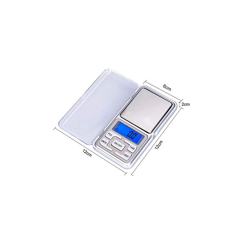 Pocket Digital Scale, BE Tool Mini Weighting LCD Display 0.1-500g