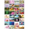 the lazy panda card company Selection of natural postcards: 32
