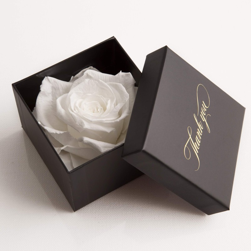 ROSEMARIE SCHULZ Heidelberg Eternal Rose for A Thank You Rose