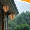 htiepf 4 Pack Hanging Paper Fake Wasp Nests for Home(Brown)