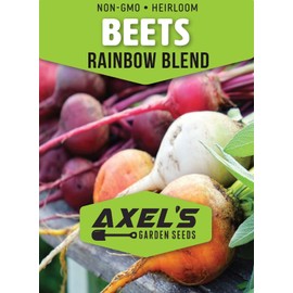 Rainbow Blend Beets for Planting – Plant & Grow Heirloom Rainbow Beets in Home Outdoor Vegetable Garden, Beta vulgaris – 1 Packet Approx 50 Seeds