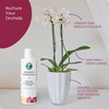 Orchid Fertilizer Spray – Nourishing Liquid Plant Food Mist for