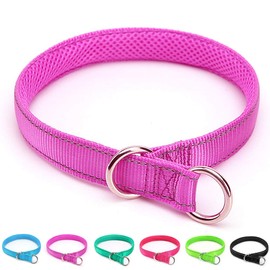 Mycicy Reflective Slip Collar, Soft Nylon Training Choke Collar for Dogs in Purple 22", Wide 1"