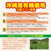 オリヒロ 沖縄3種ウコン粒 420粒