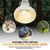CALPALMY (4-Pack 100W Reptile Heat Lamp Bulbs - UVA Daylight