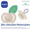 MAM Original Night Dummy for 16+ Months (Set of 2)