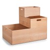 Zeller 13306 Multi-Purpose Box 30 x 20 x 15 cm