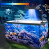 Lominie LED Aquarium Light, Nano Coral Light Fish Tank Light