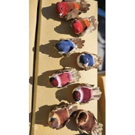 Pkg of 48 Small Mini 2" Ruffly Tail  Dried Mushroom Birds Finch Crafts