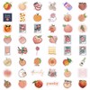 Peach Stickers for Water Bottle and Laptop - Waterproof Vinyl