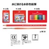 Faber Castell TFC-WCP/12C Watercolor Pencils, Flat Tin, Set of 12