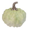 Northlight Textured Pumpkin Fall Harvest Decoration - 5.5” - Green