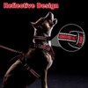 WINSEE Pet Harness Collar and Leash Set, All-in-one Reflective Dog