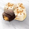 Dove Holiday Promises Silky Smooth Caramel & Milk Chocolate -