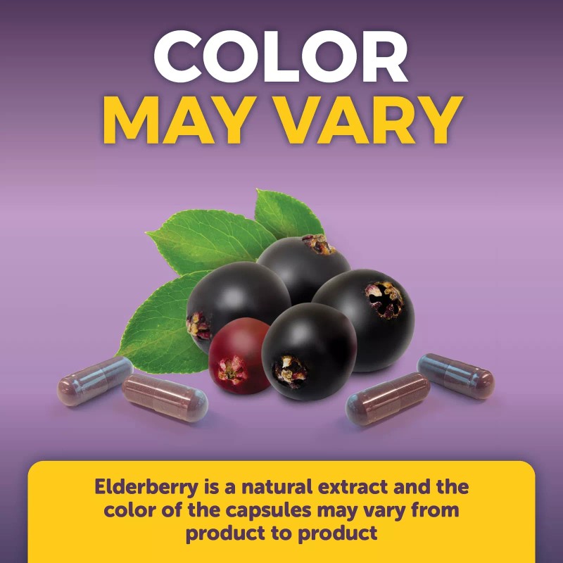 Viva Naturals Elderberry Supplement With Zinc Vitamin C 120 Count