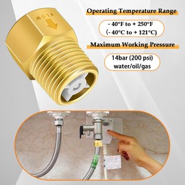 Brass Check Valve 1/2" Female to 1/2" Male, Hose Backflow Preventer 2pcs, One Way No Turn Back for Tank Water Heater Toilet