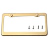 Gold Titanium License Plate Frame New