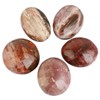 SUNYIK Petrified Wood Palm Stones Worry Pocket Stone, Polished Irregular