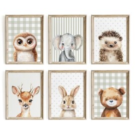 Waschbar Poster for Room Decor (Cute Animal)